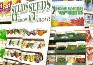 seeds on display everywhere