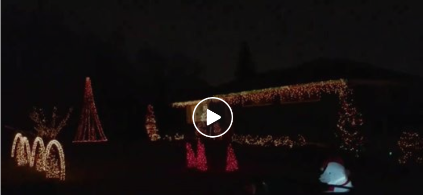 Setting up a light show for the holidays in your garden