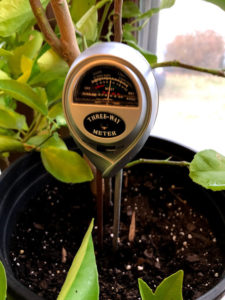 inexpensive soil probe is they key to a good garden routine